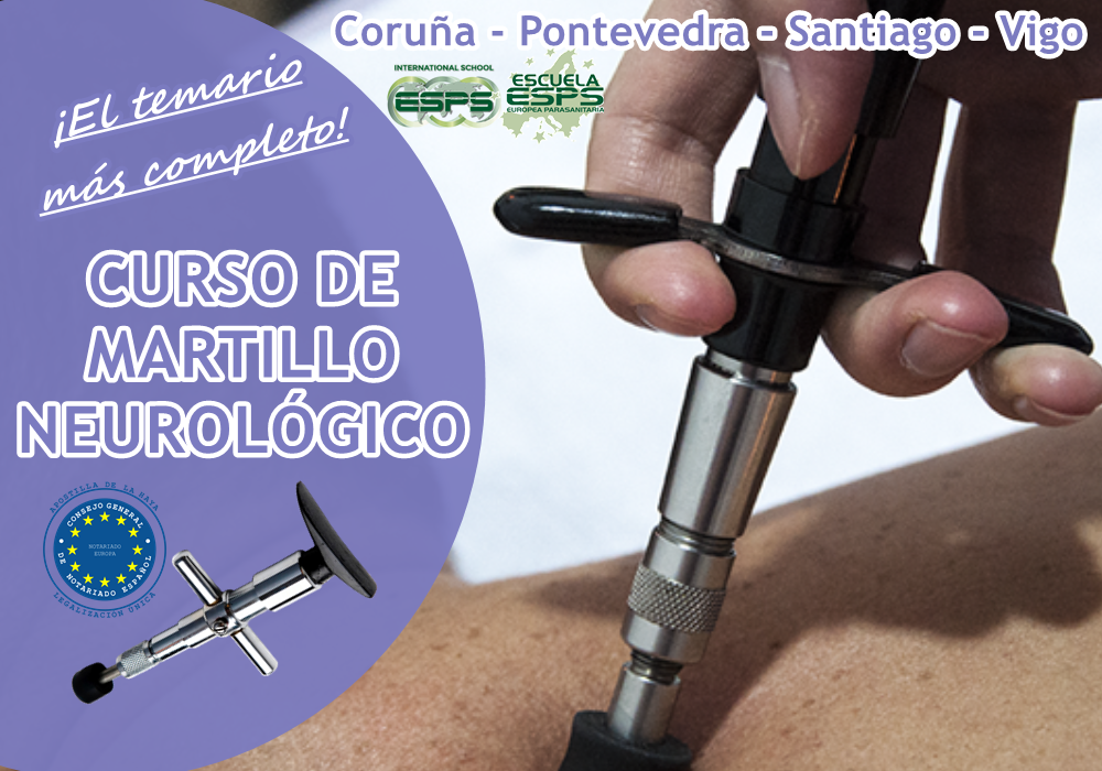 Curso del martillo neurológico